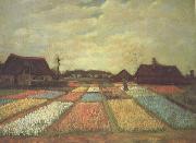 Vincent Van Gogh Bulb Fields (nn04) oil painting artist